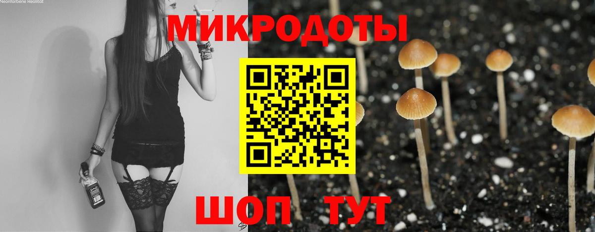 Новокуйбышевск  Псилоцибиновые грибы прущие грибы  Вход с VPN 